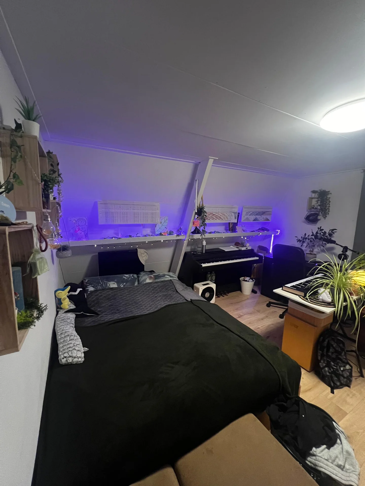 Foto van de Kamer gelegen aan de C.J. Snuifstraat in Enschede