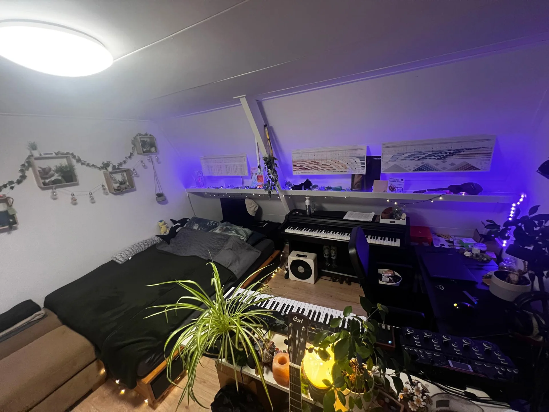 Foto van de Kamer gelegen aan de C.J. Snuifstraat in Enschede