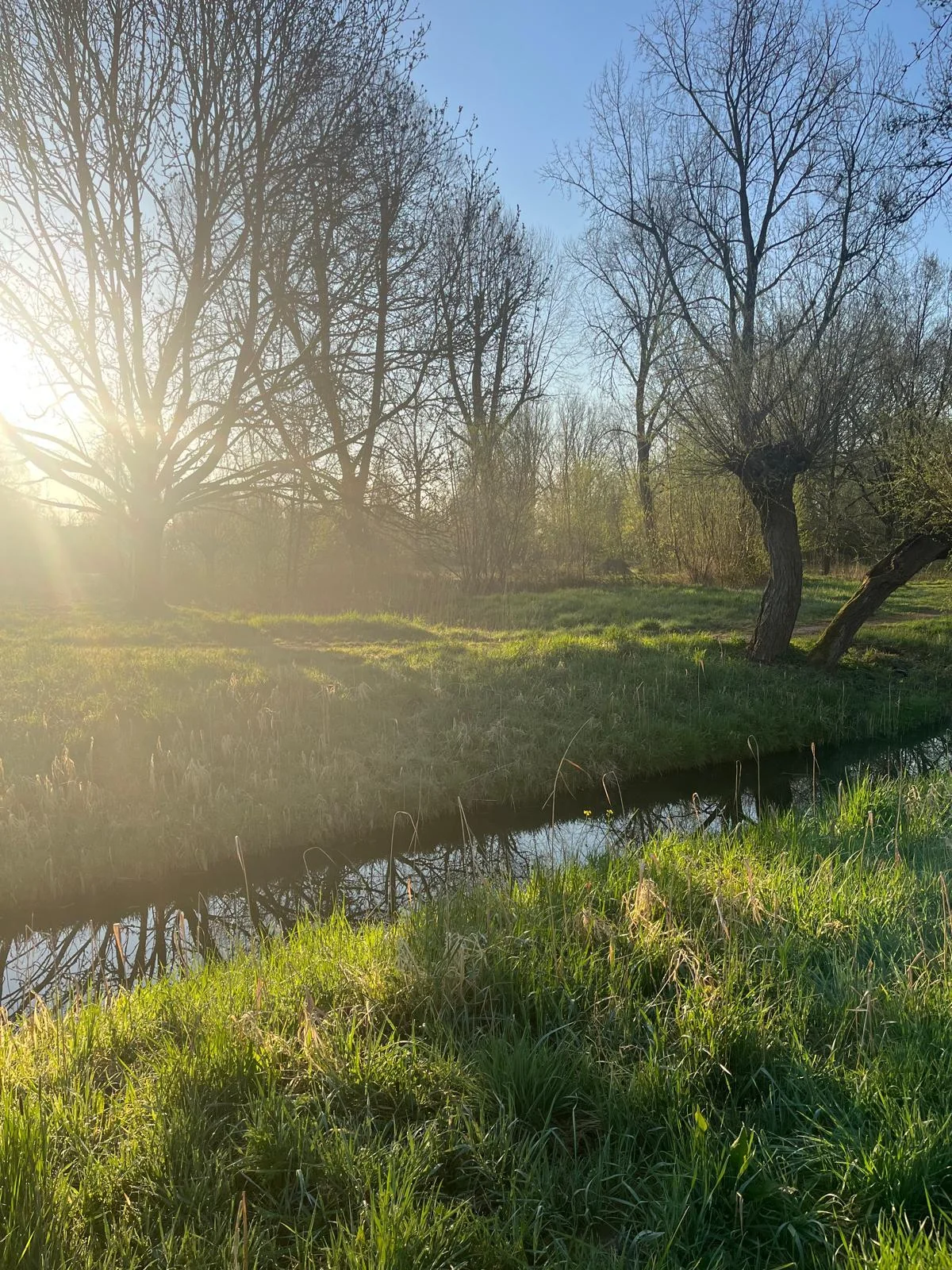 Foto van de Kamer gelegen aan de Orvelterdek in Nieuwegein