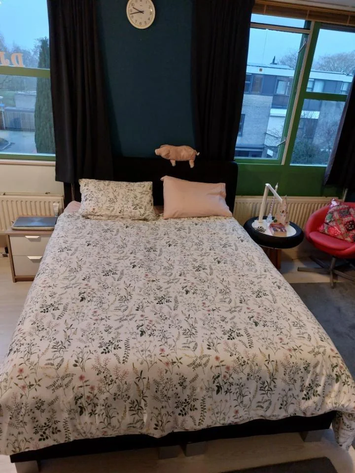 Foto van de Kamer gelegen aan de Lesothostraat in Delft