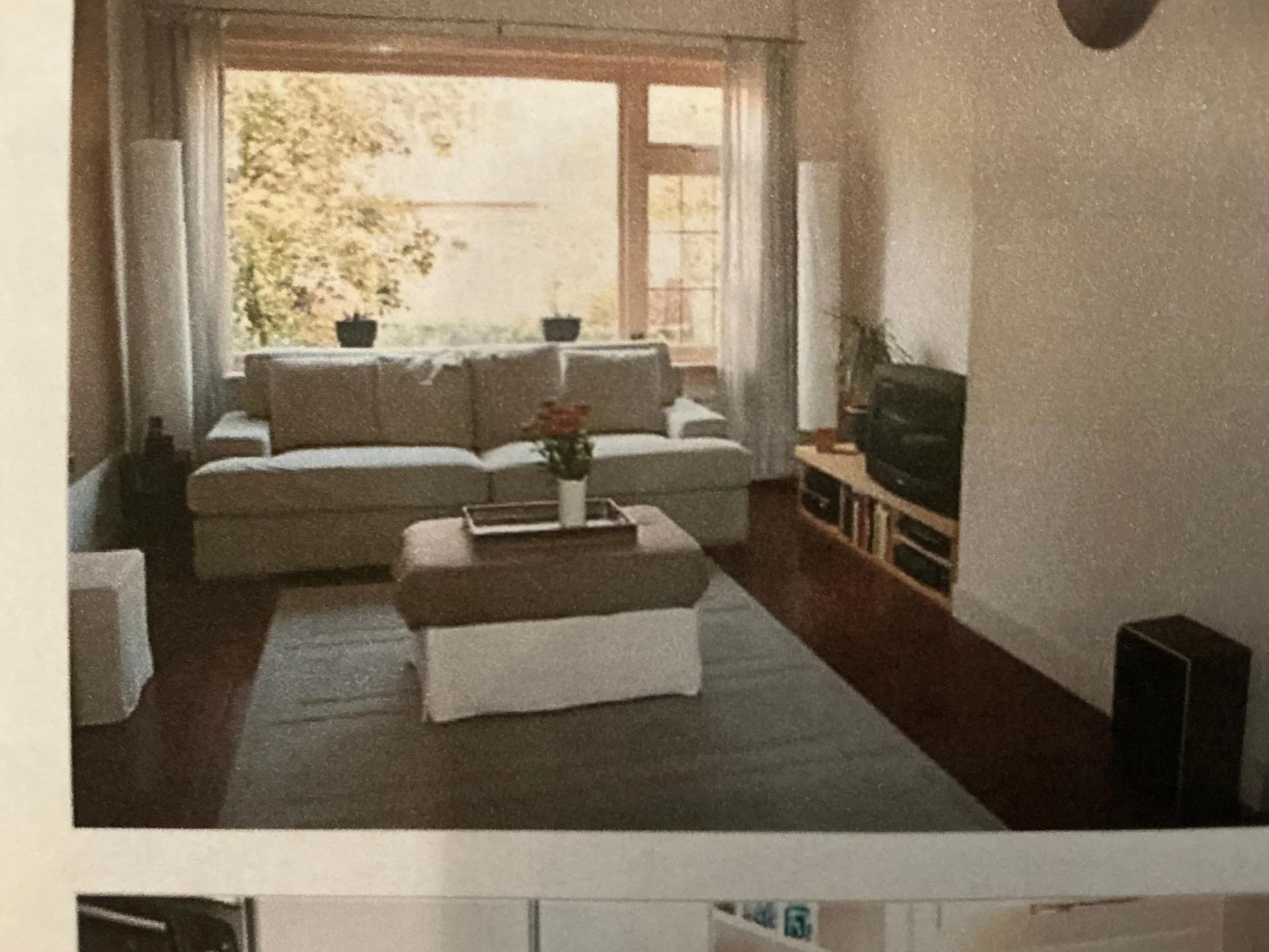 geblurde versie van de foto als achtergrond