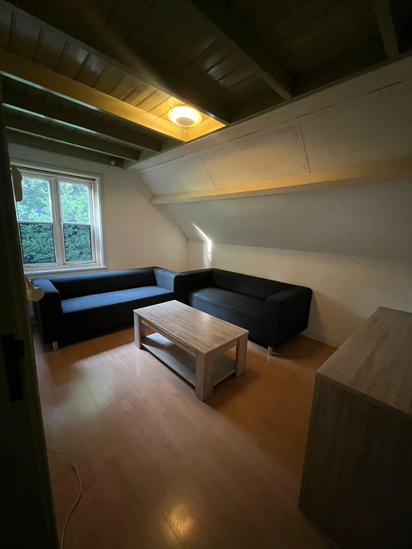 Foto van de Appartement gelegen aan de Molenhoefstraat in Udenhout