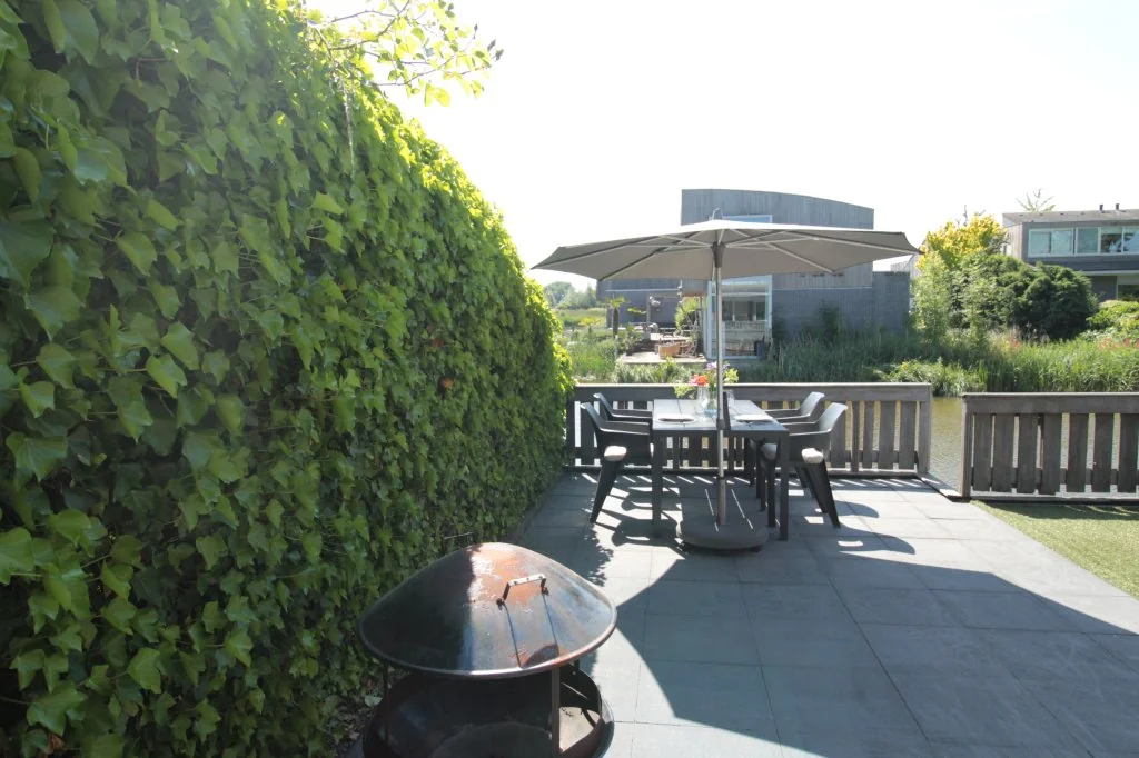 geblurde versie van de foto als achtergrond