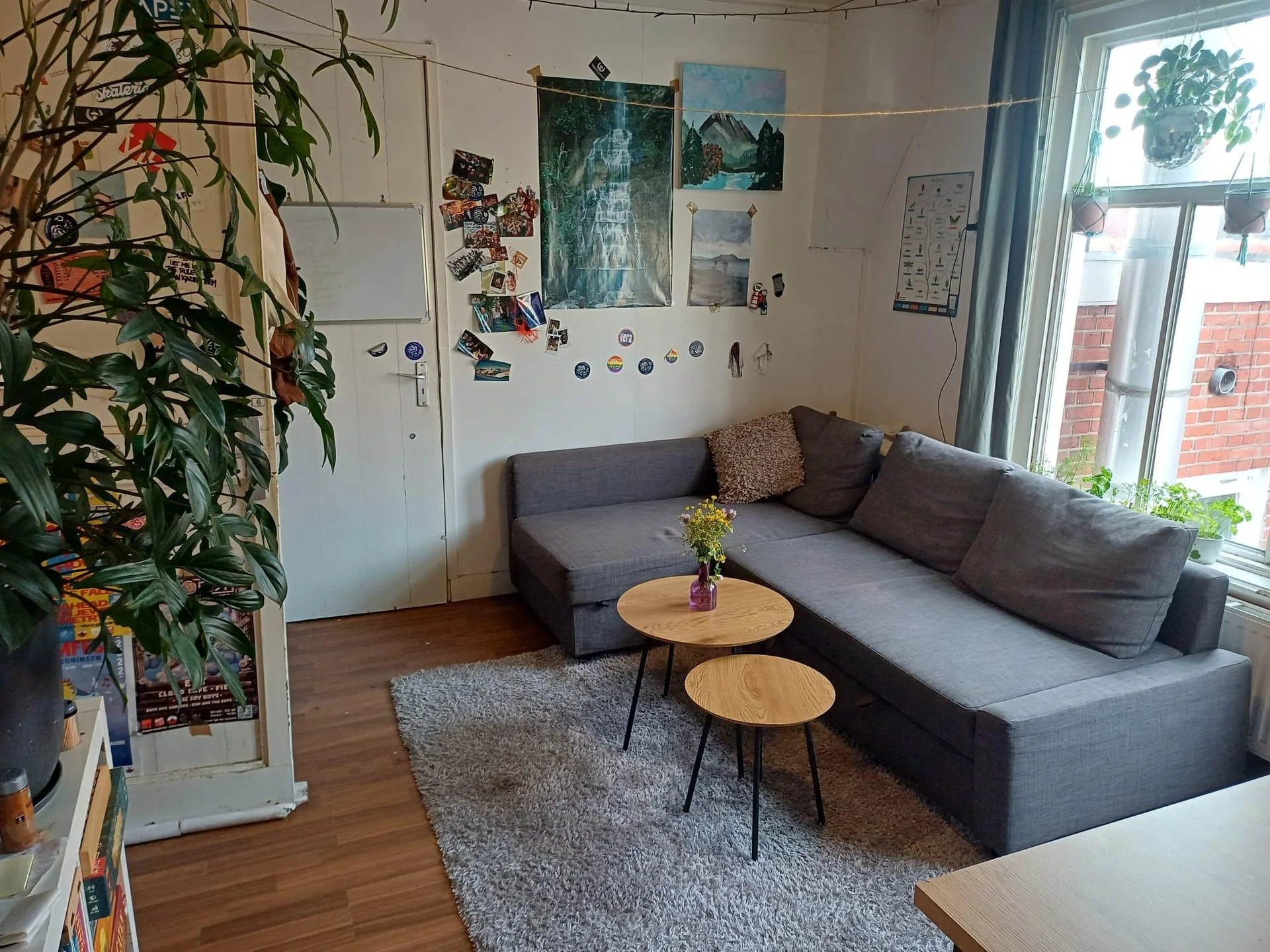 Foto van de Kamer gelegen aan de Riouwstraat in Groningen
