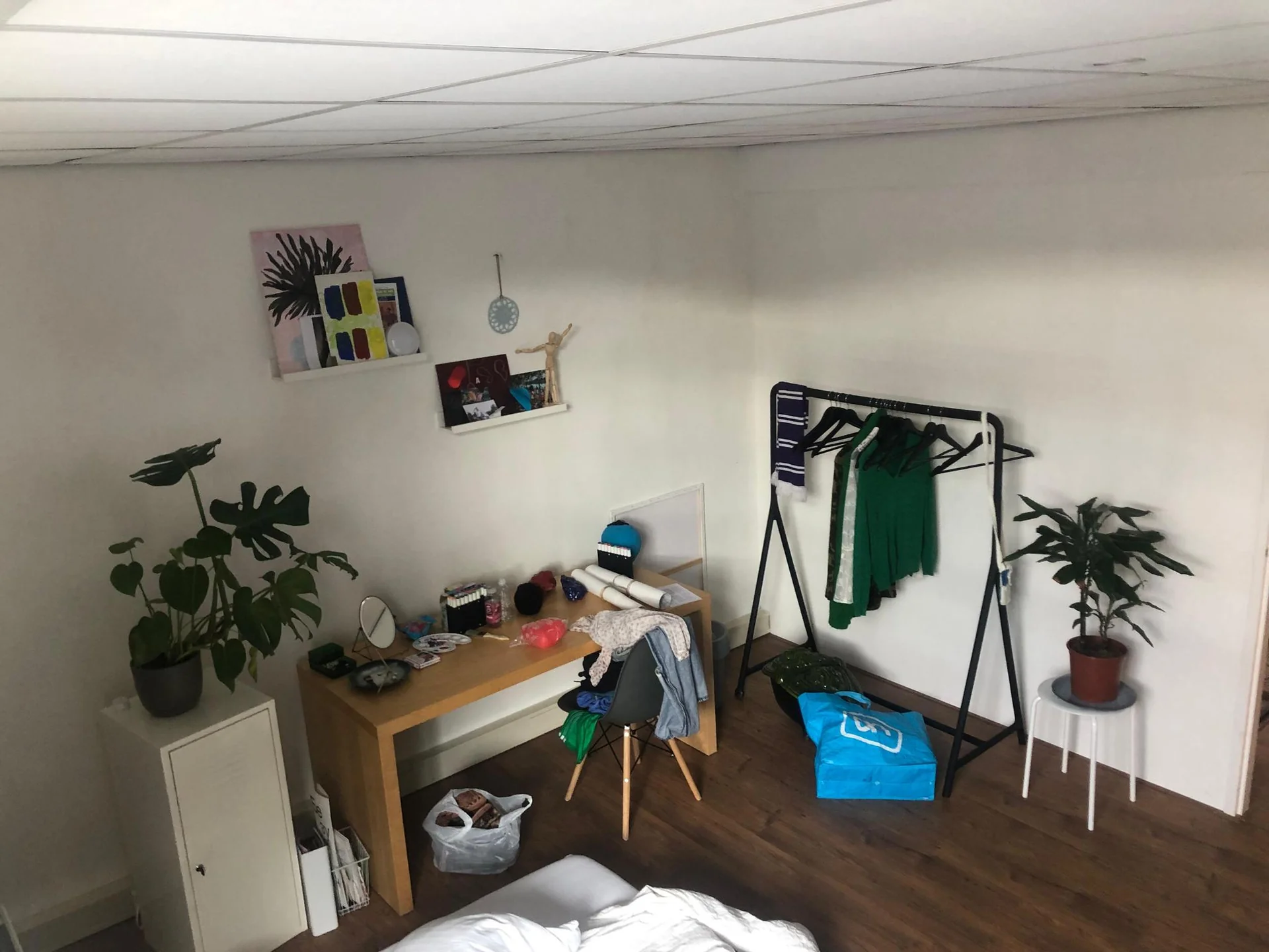 geblurde versie van de foto als achtergrond