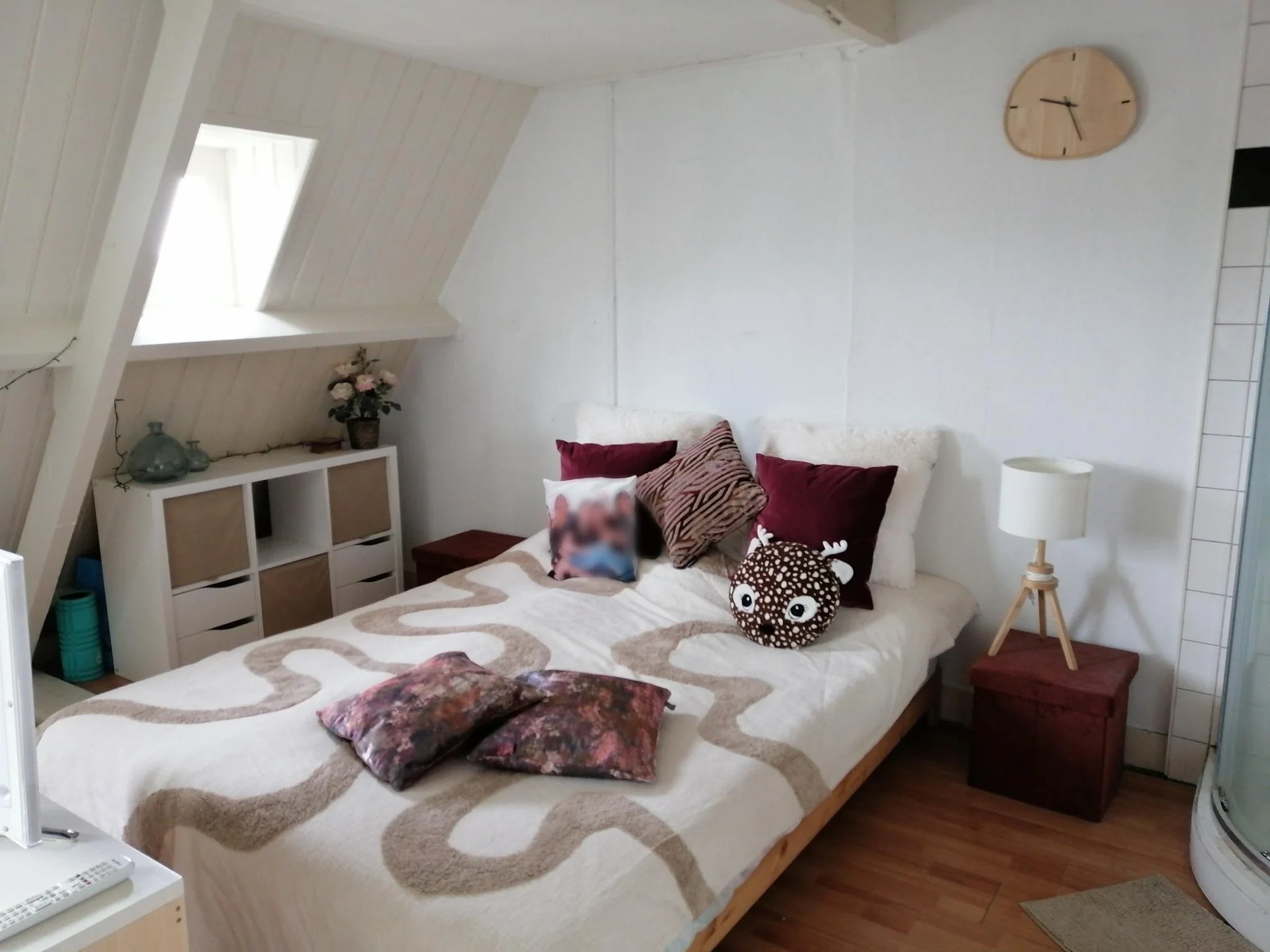 Foto van de Kamer gelegen aan de Stephensonstraat in Den Haag