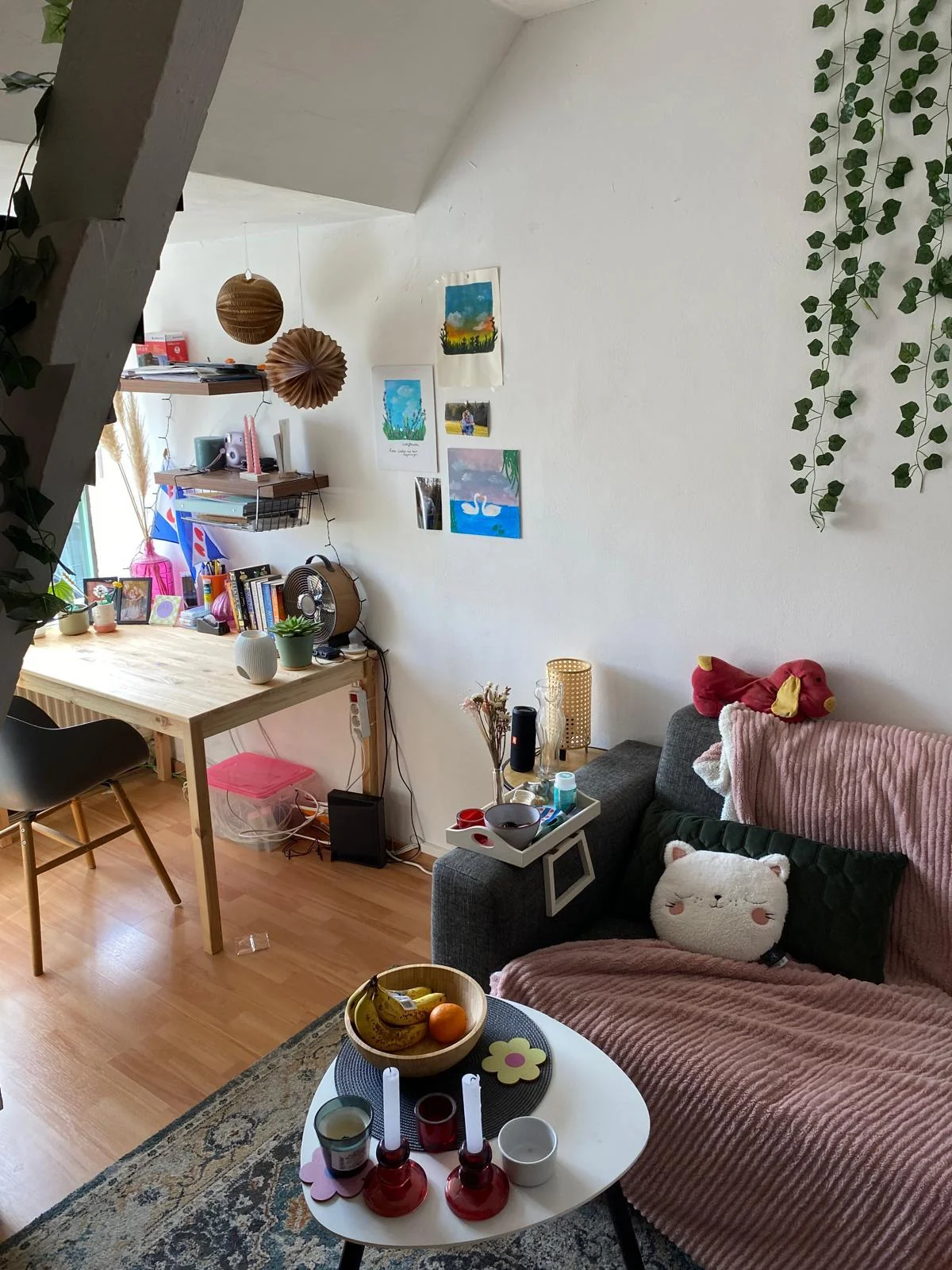 Foto van de Kamer gelegen aan de Schootsestraat in Eindhoven