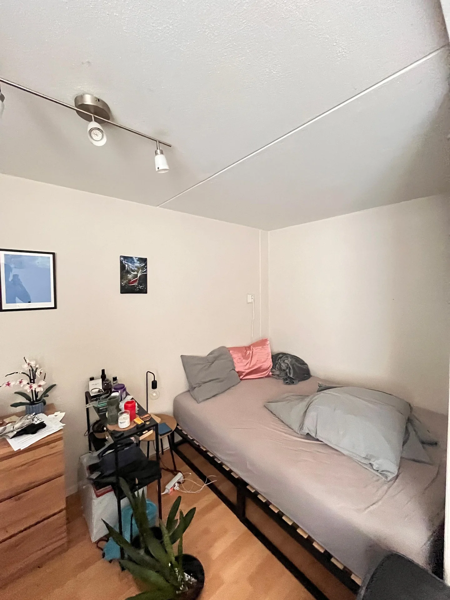 Foto van de Kamer gelegen aan de Goudlaan in Groningen