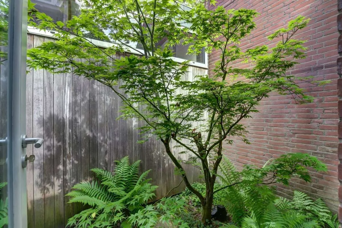 Foto van de Appartement gelegen aan de Ds Veldhoenlaan in Voorburg
