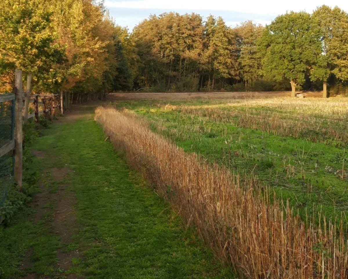 Foto van de Appartement gelegen aan de Berg en Dalseweg in Nijmegen