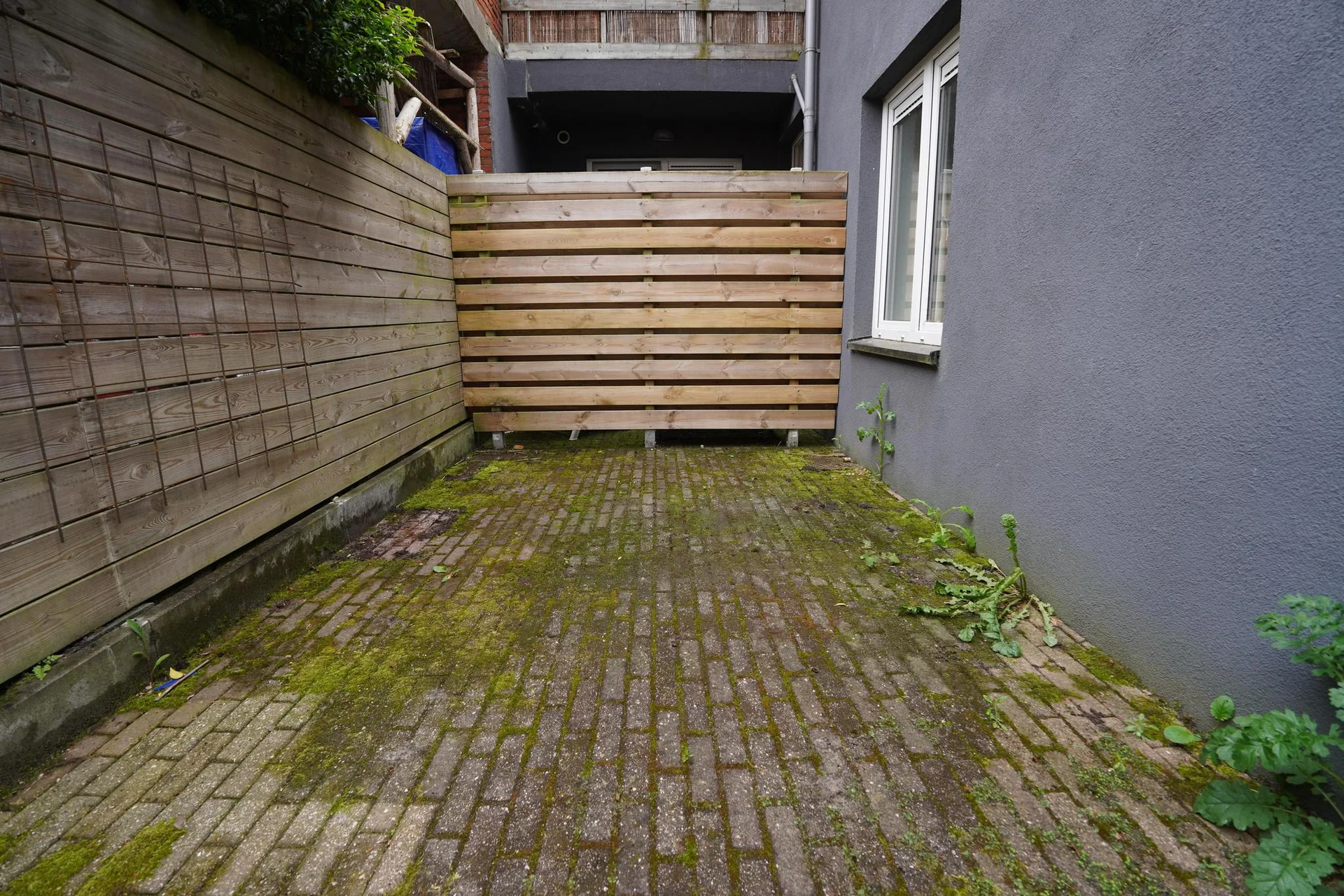 Foto van de Kamer gelegen aan de Helper Oostsingel in Groningen