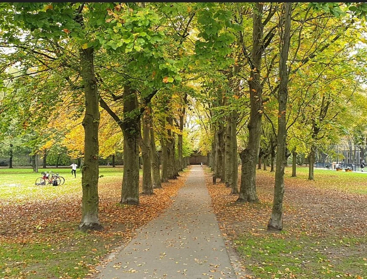 Foto van de Kamer gelegen aan de Oude Dijk in Tilburg