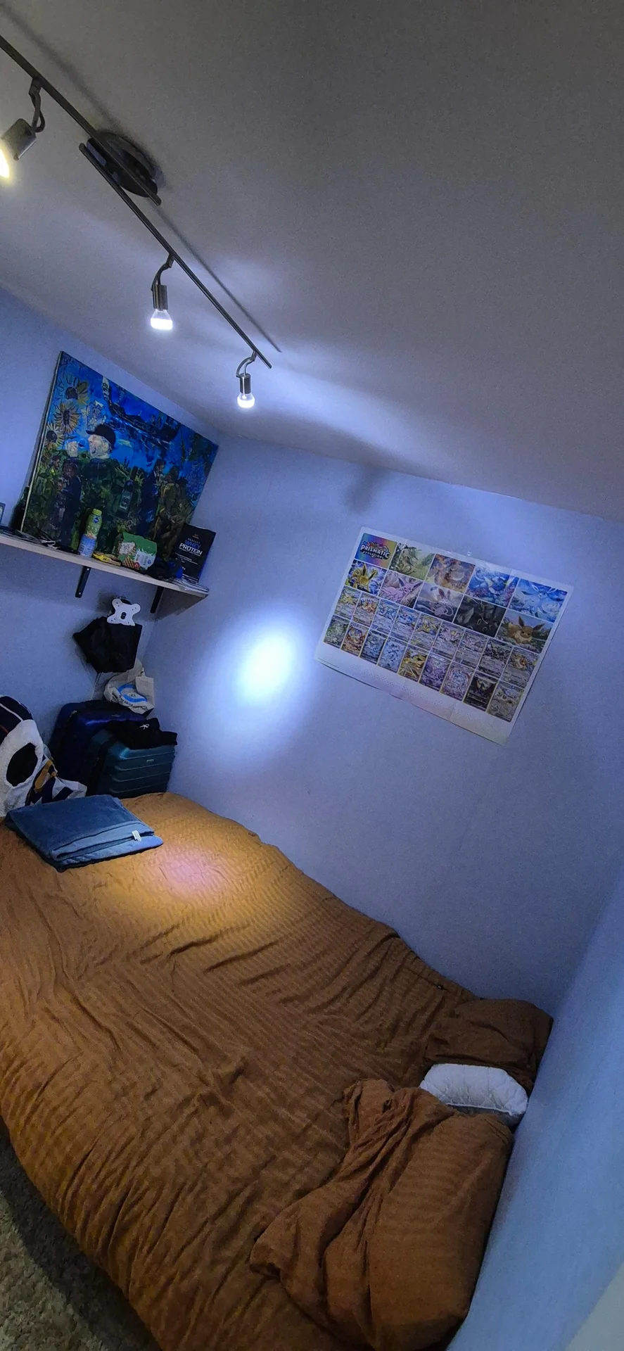 Foto van de Kamer gelegen aan de Tolhuis in Nijmegen