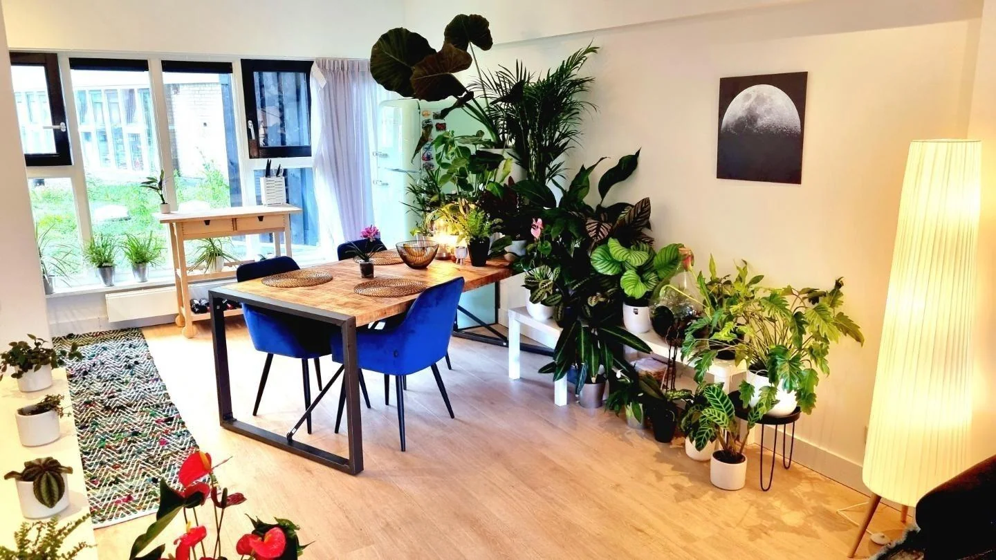 Foto van de Kamer gelegen aan de Aquamarijnlaan in Utrecht