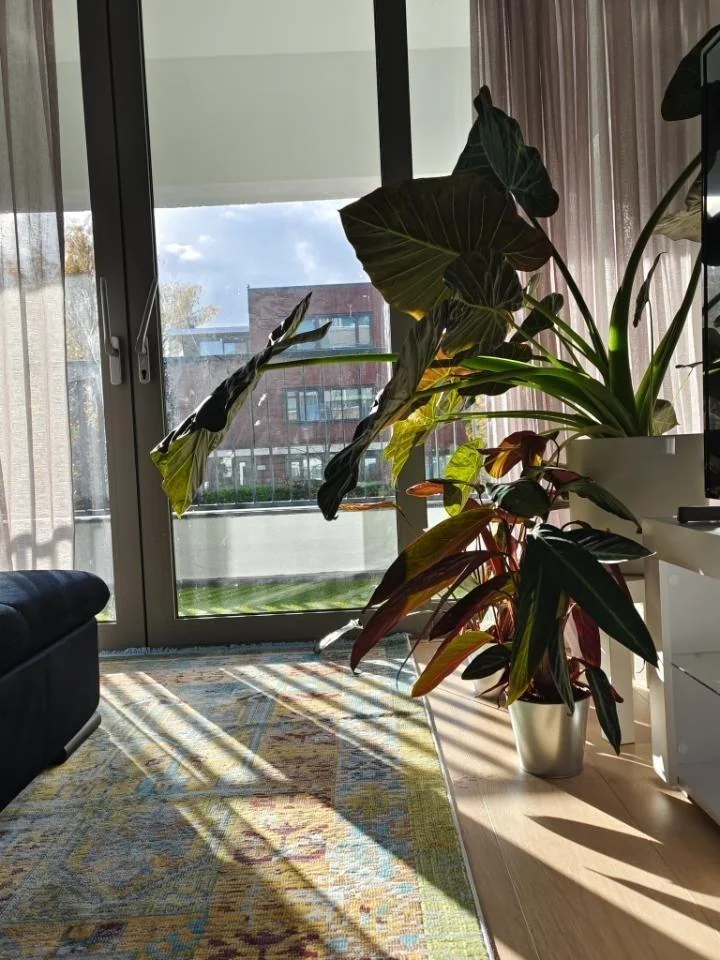 Foto van de Kamer gelegen aan de Aquamarijnlaan in Utrecht