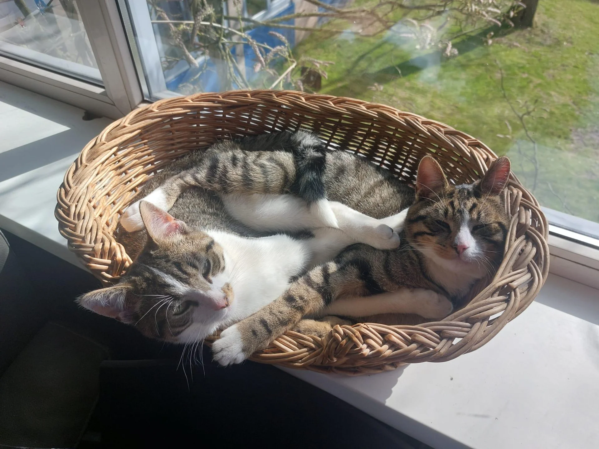 Foto van de Kamer gelegen aan de Campuslaan in Enschede