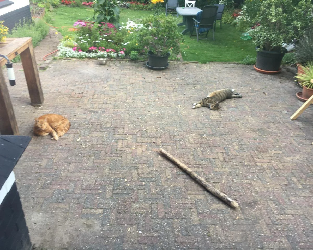 Foto van de Kamer gelegen aan de Boekelosestraat in Enschede