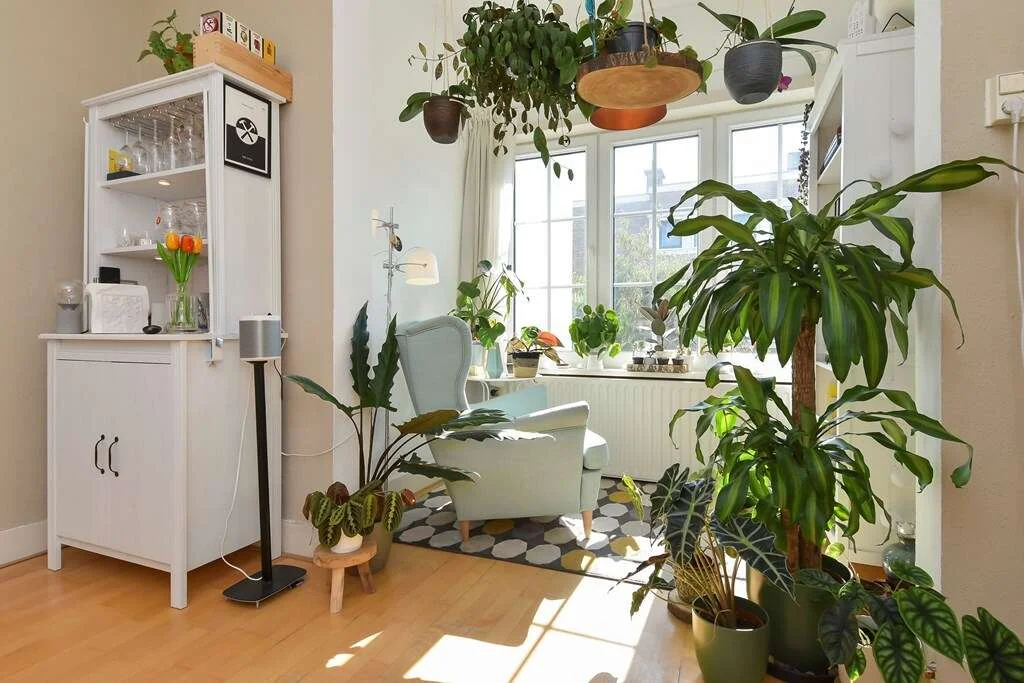 Foto van de Appartement gelegen aan de Goudsbloemlaan in Den Haag