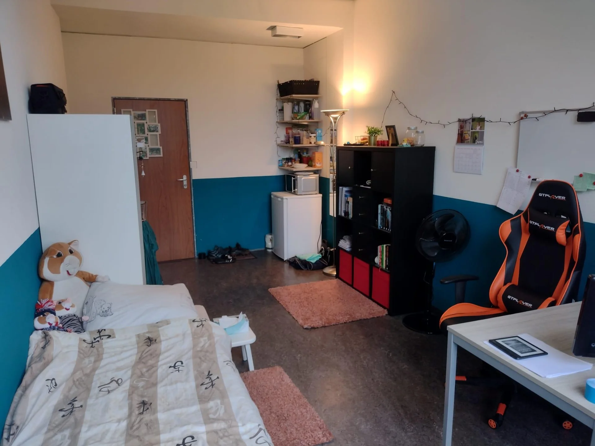 Foto van de Kamer gelegen aan de Dreijenplein in Wageningen