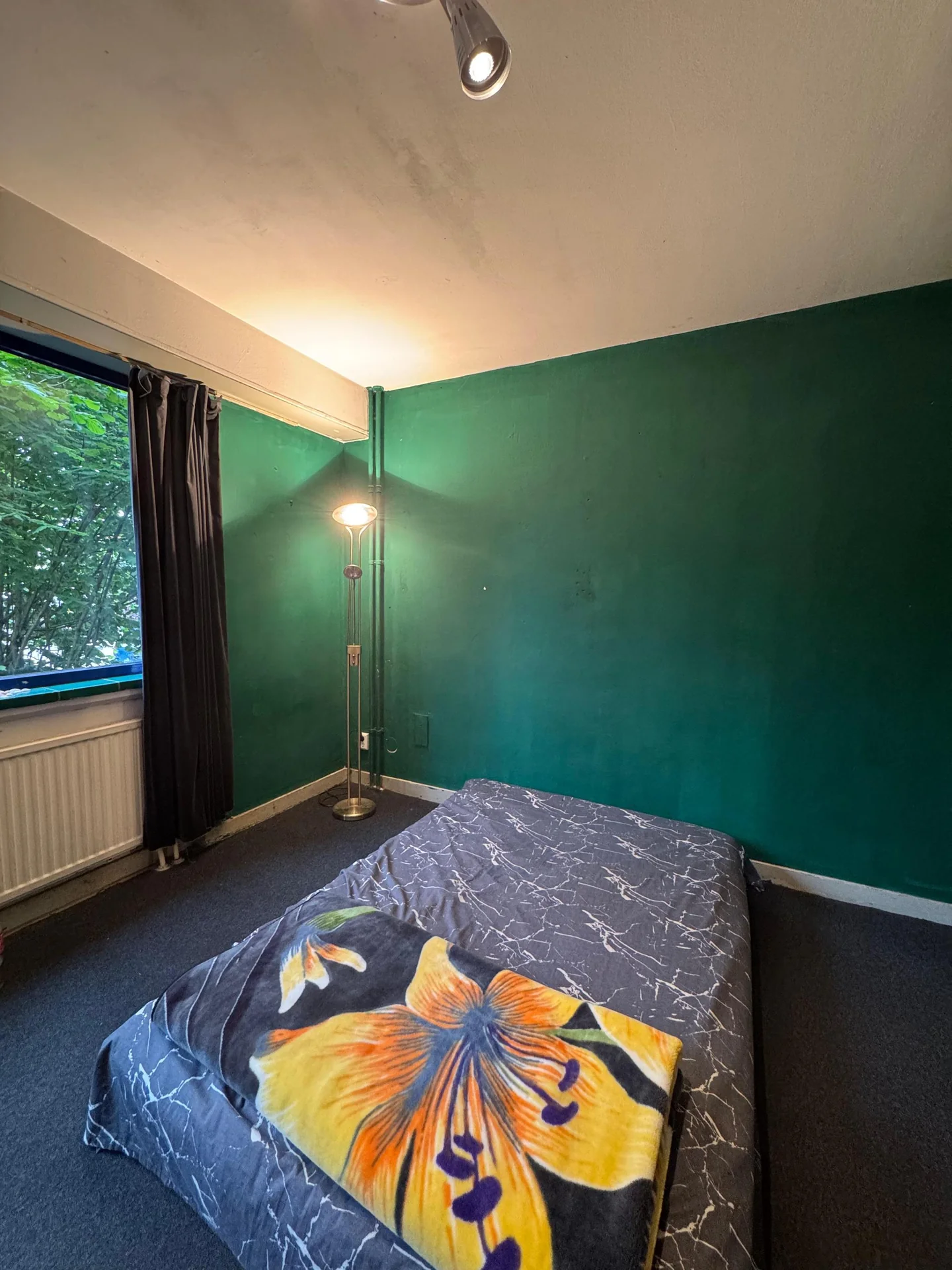 Foto van de Kamer gelegen aan de Ruys de Beerenbrouckstraat in Delft
