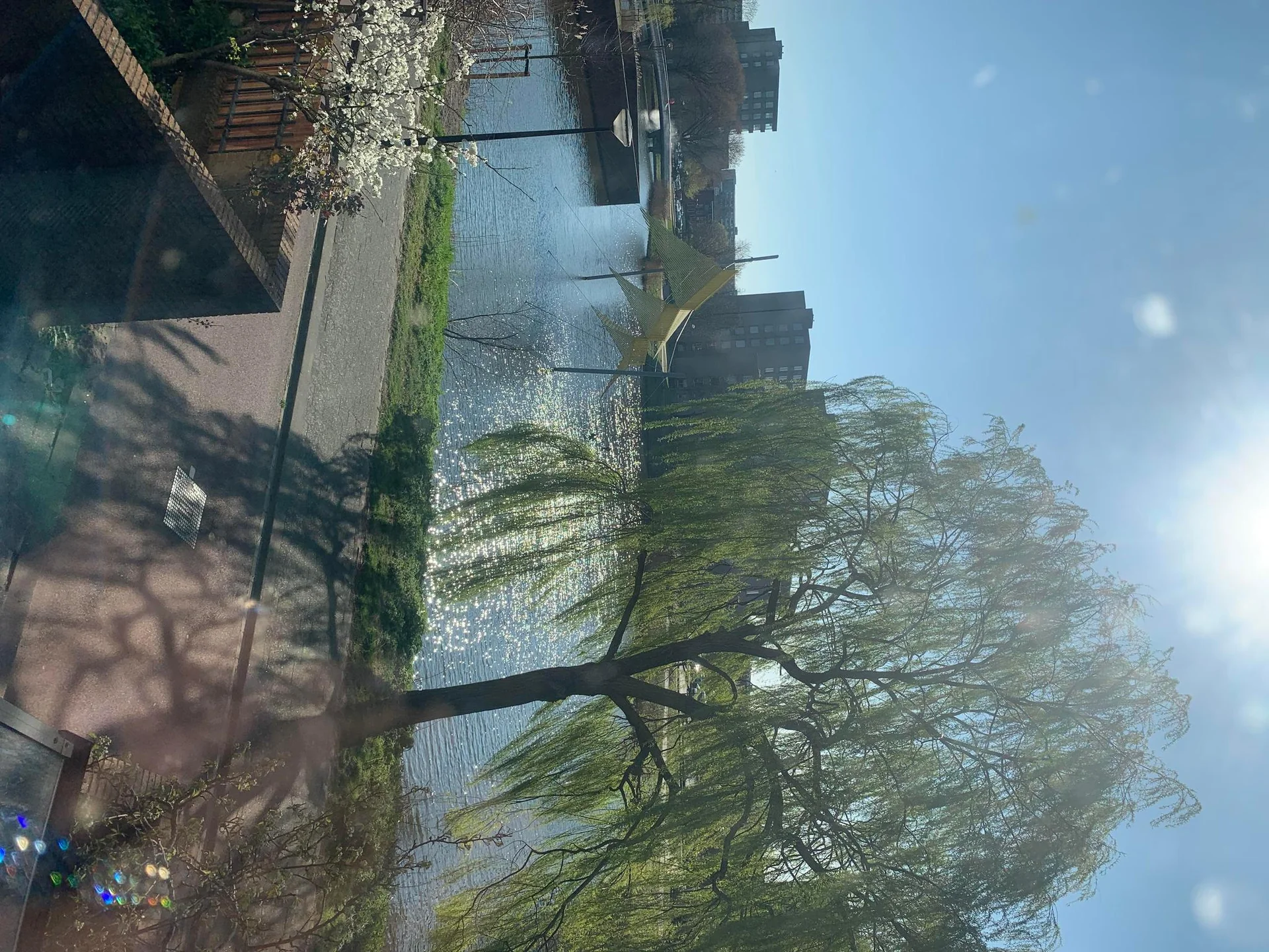 geblurde versie van de foto als achtergrond