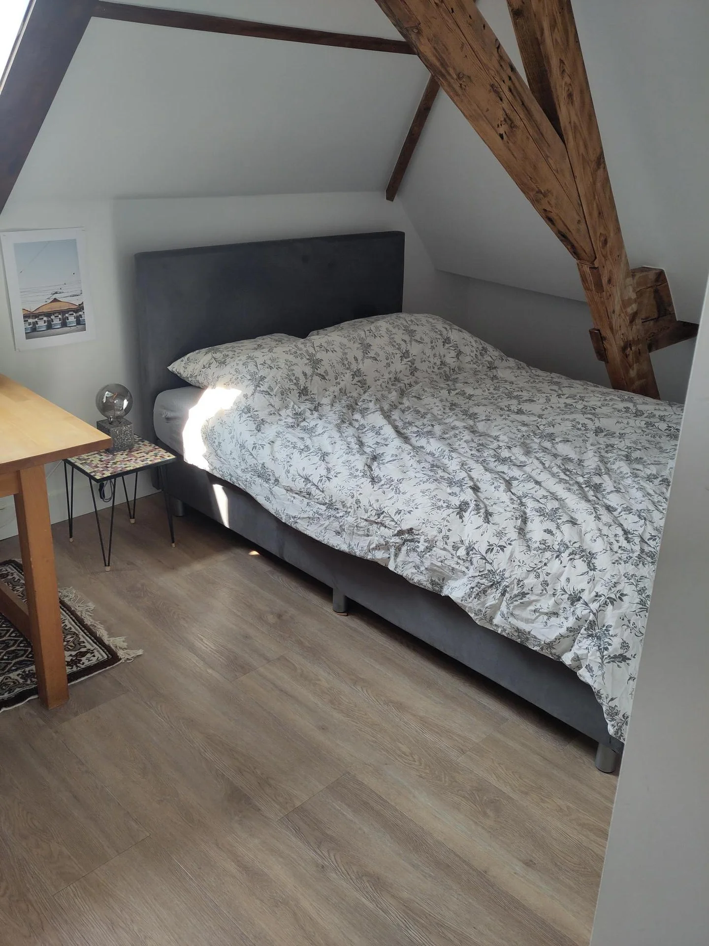 Foto van de Kamer gelegen aan de Jacob Catsstraat in Rotterdam