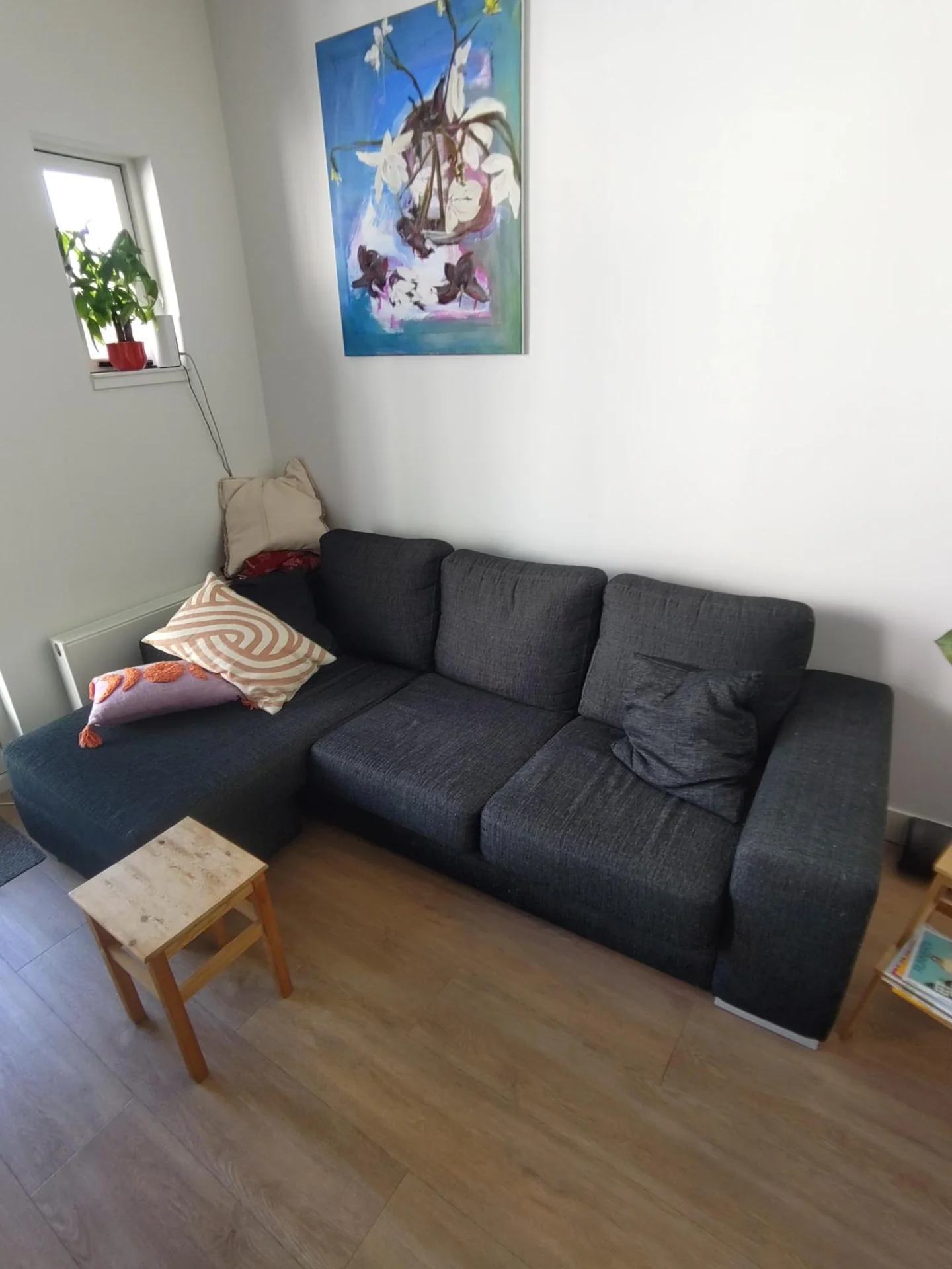 Foto van de Kamer gelegen aan de Jacob Catsstraat in Rotterdam