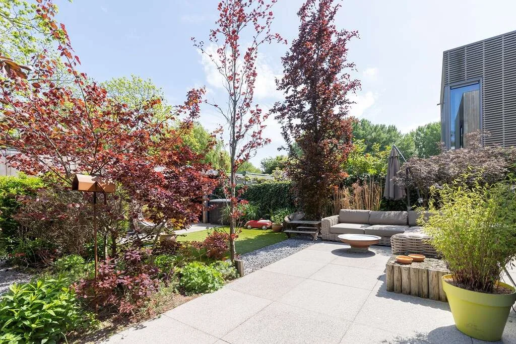 geblurde versie van de foto als achtergrond