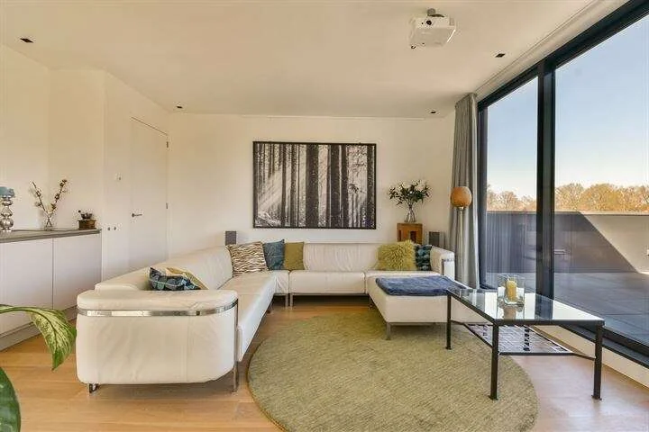 geblurde versie van de foto als achtergrond