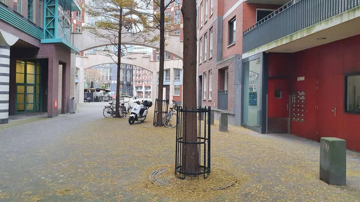 Foto van de Appartement gelegen aan de Muzenstraat in Den Haag