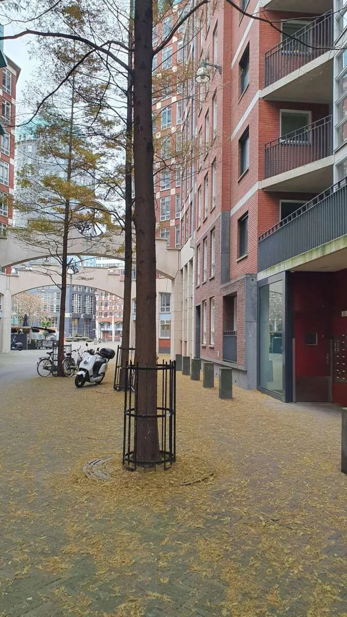 Foto van de Appartement gelegen aan de Muzenstraat in Den Haag