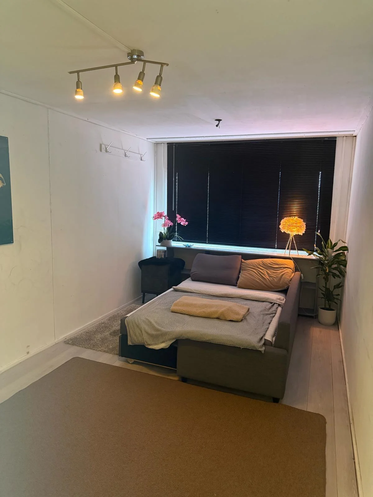 Foto van de Studio gelegen aan de Zuiderzeeweg in Amsterdam