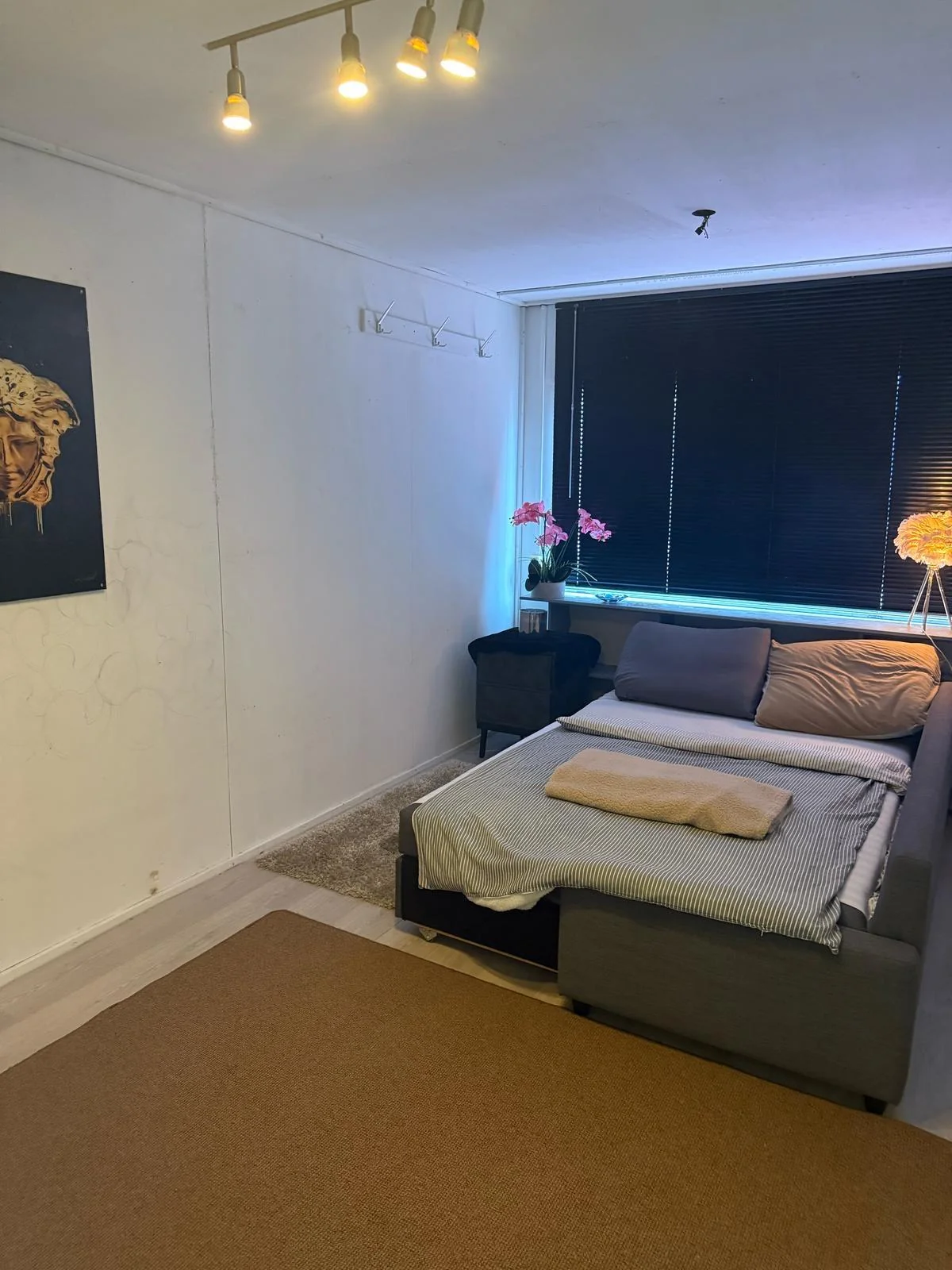 Foto van de Studio gelegen aan de Zuiderzeeweg in Amsterdam