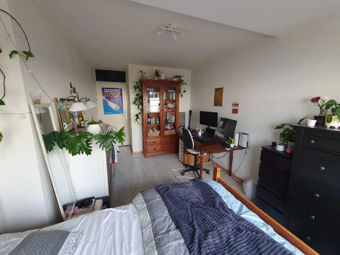 Foto van de Kamer gelegen aan de Abtswoudseweg in Delft