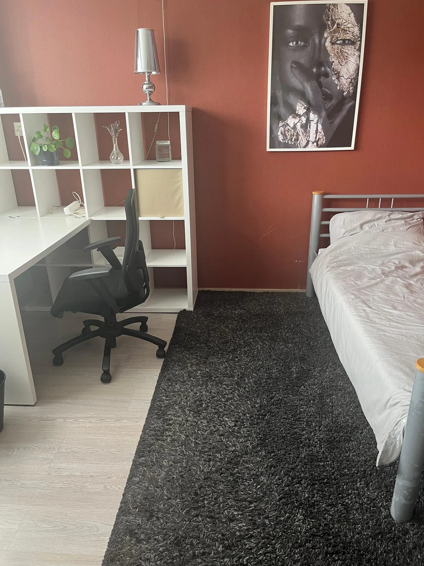 geblurde versie van de foto als achtergrond