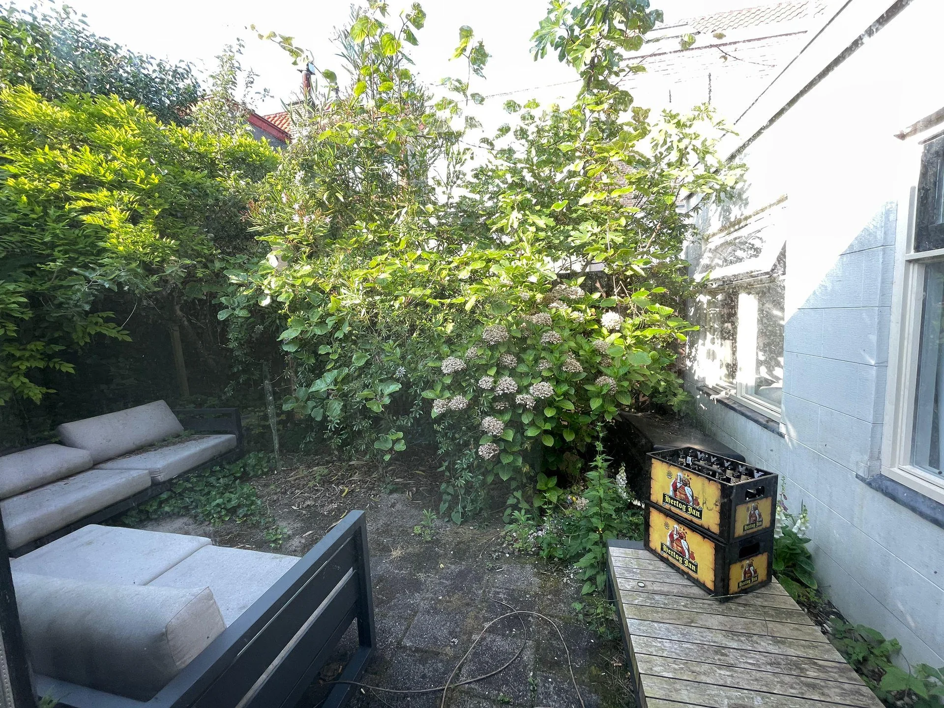 Foto van de Kamer gelegen aan de Nieuwe Langendijk in Delft