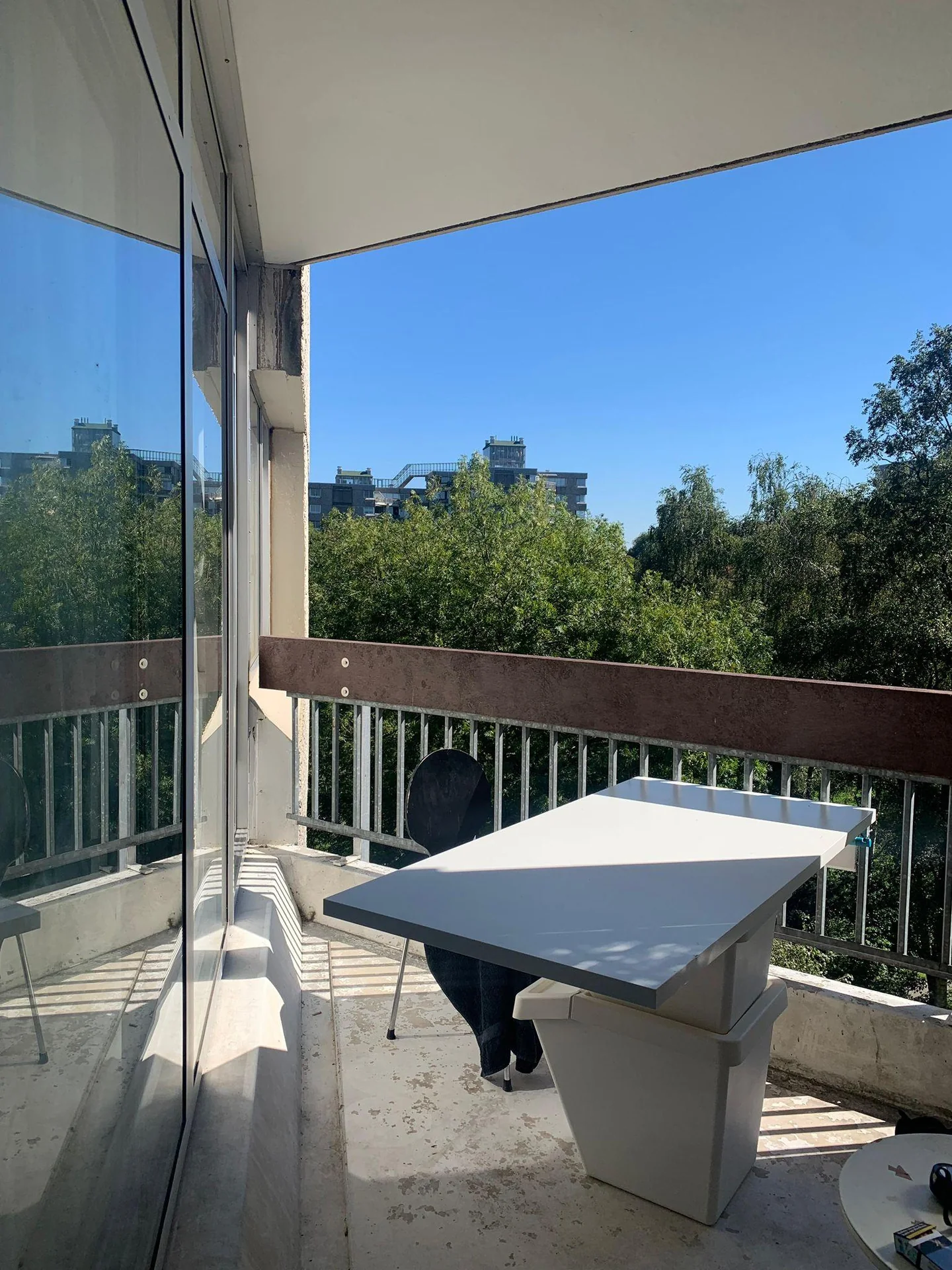 geblurde versie van de foto als achtergrond