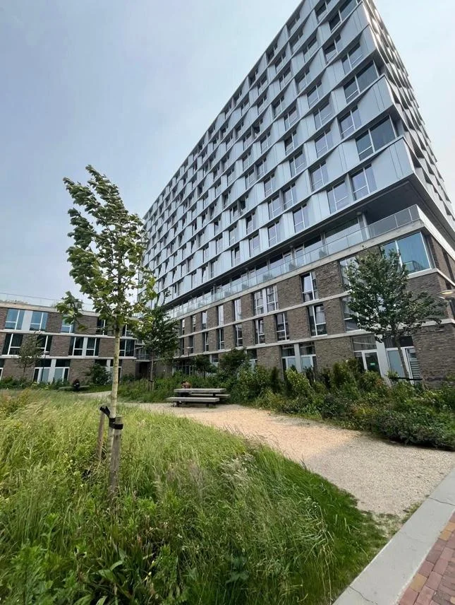 geblurde versie van de foto als achtergrond