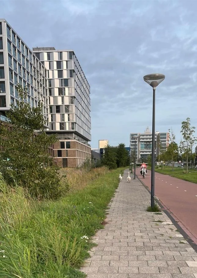 geblurde versie van de foto als achtergrond