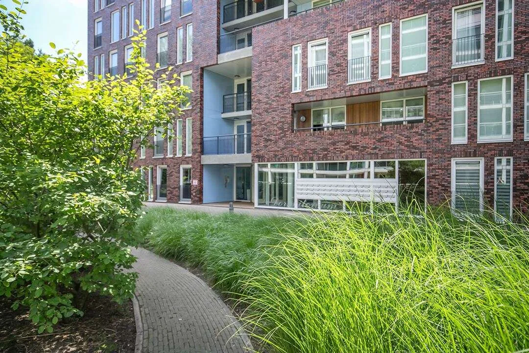 geblurde versie van de foto als achtergrond