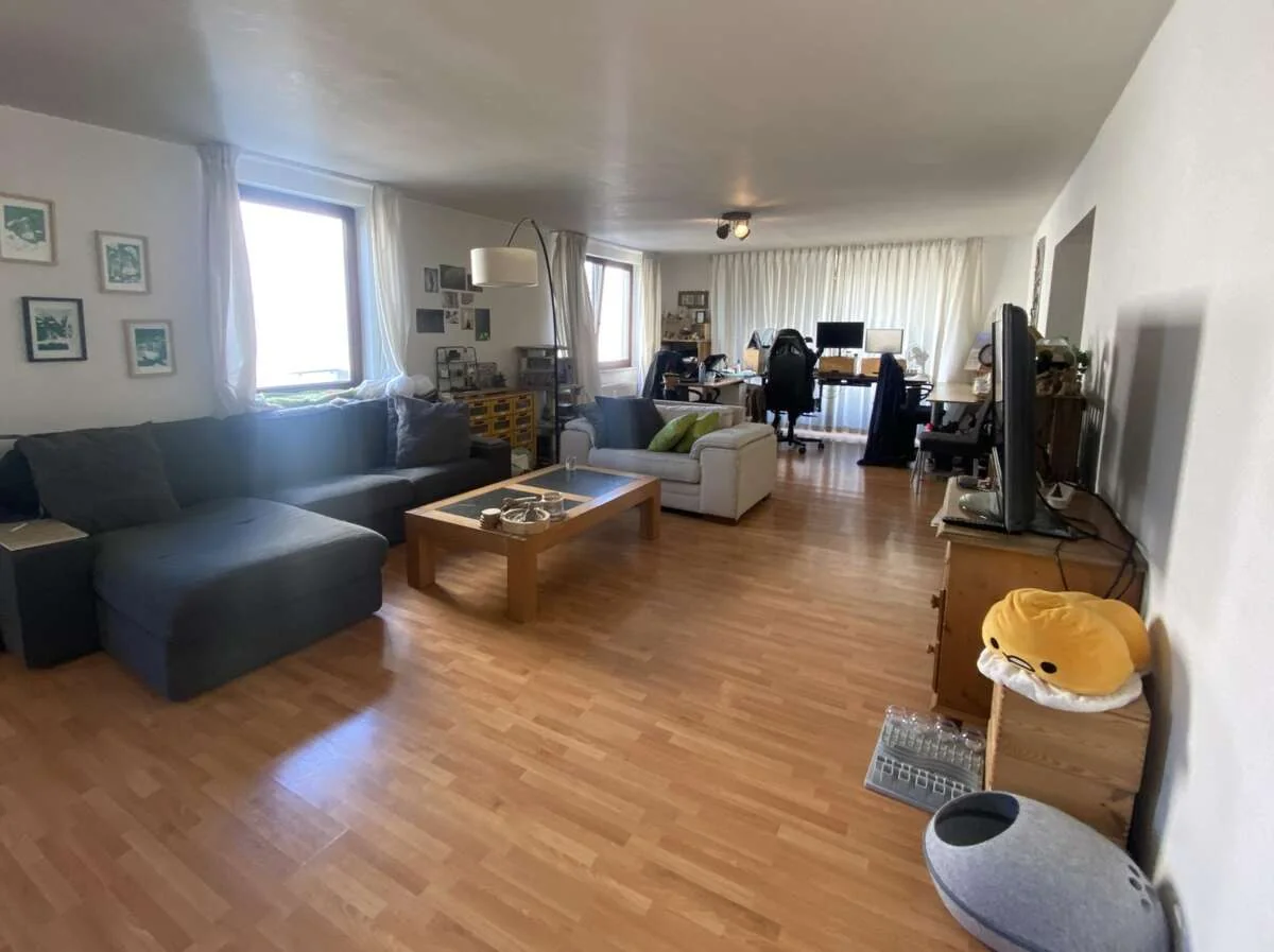 Foto van de Appartement gelegen aan de Ireneweg in Maastricht