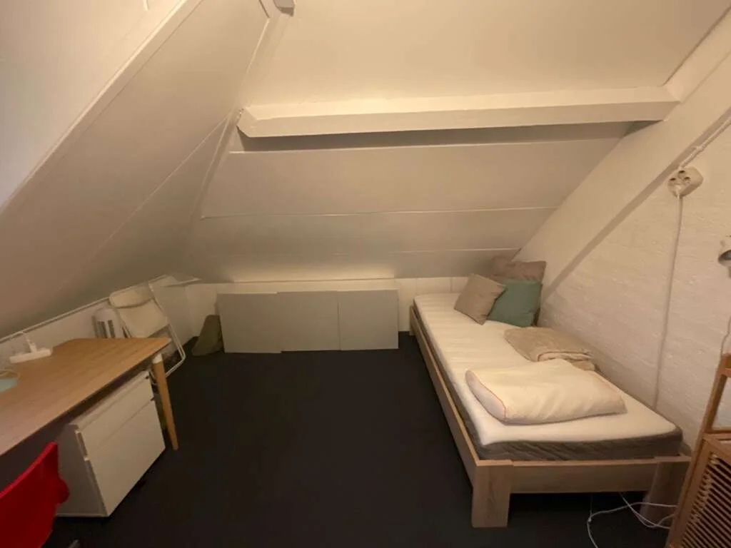 Foto van de Kamer gelegen aan de Renssenstraat in Arnhem