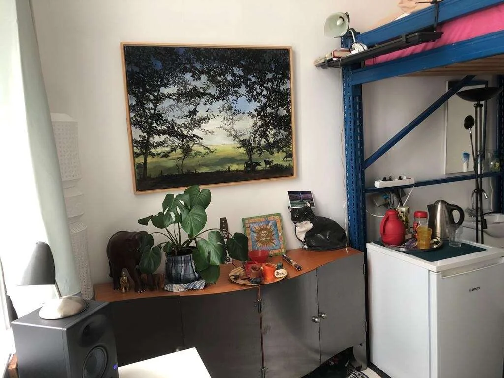 Foto van de Kamer gelegen aan de Renssenstraat in Arnhem