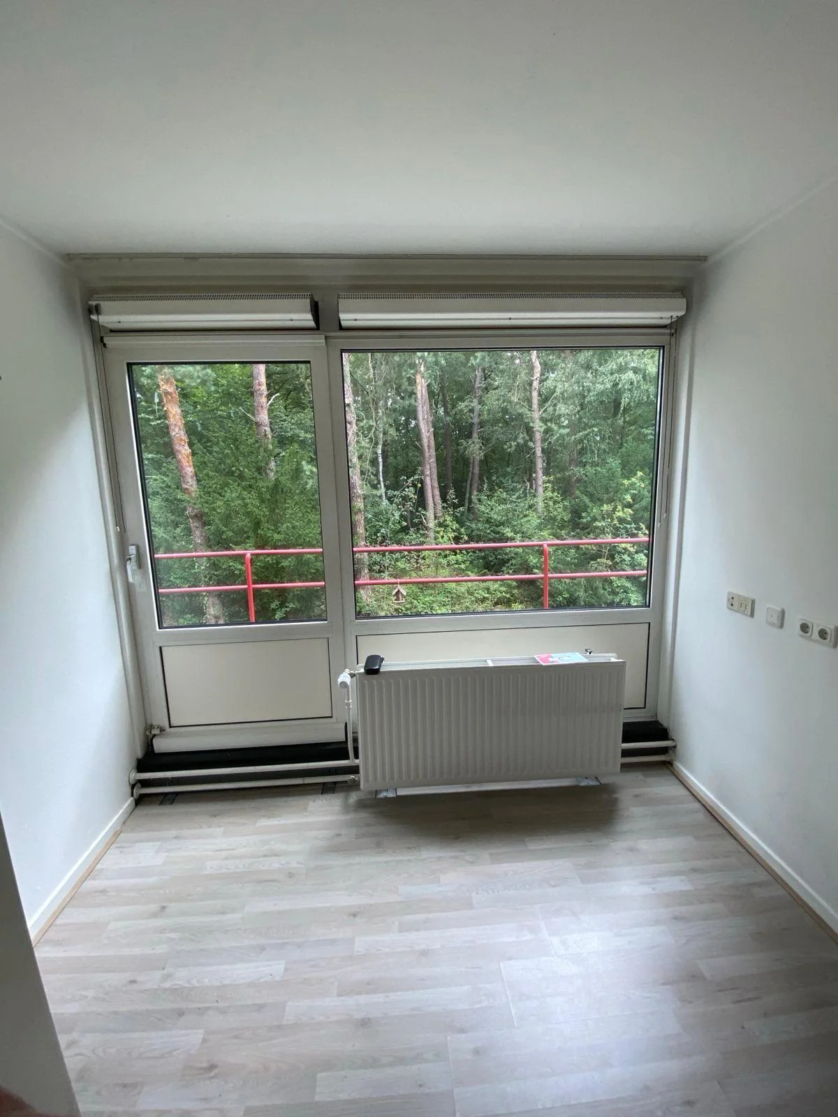 geblurde versie van de foto als achtergrond