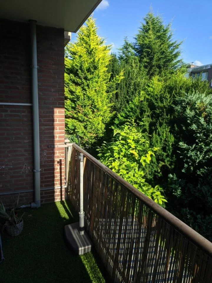 Foto van de Kamer gelegen aan de Wijenburg in Amsterdam