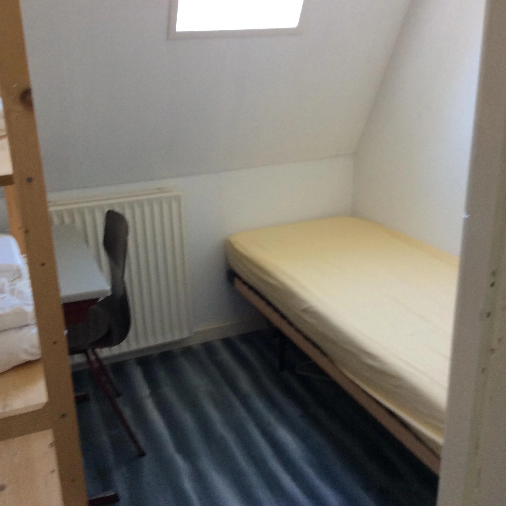 Foto van de Kamer gelegen aan de Ruivenstraat in Delft