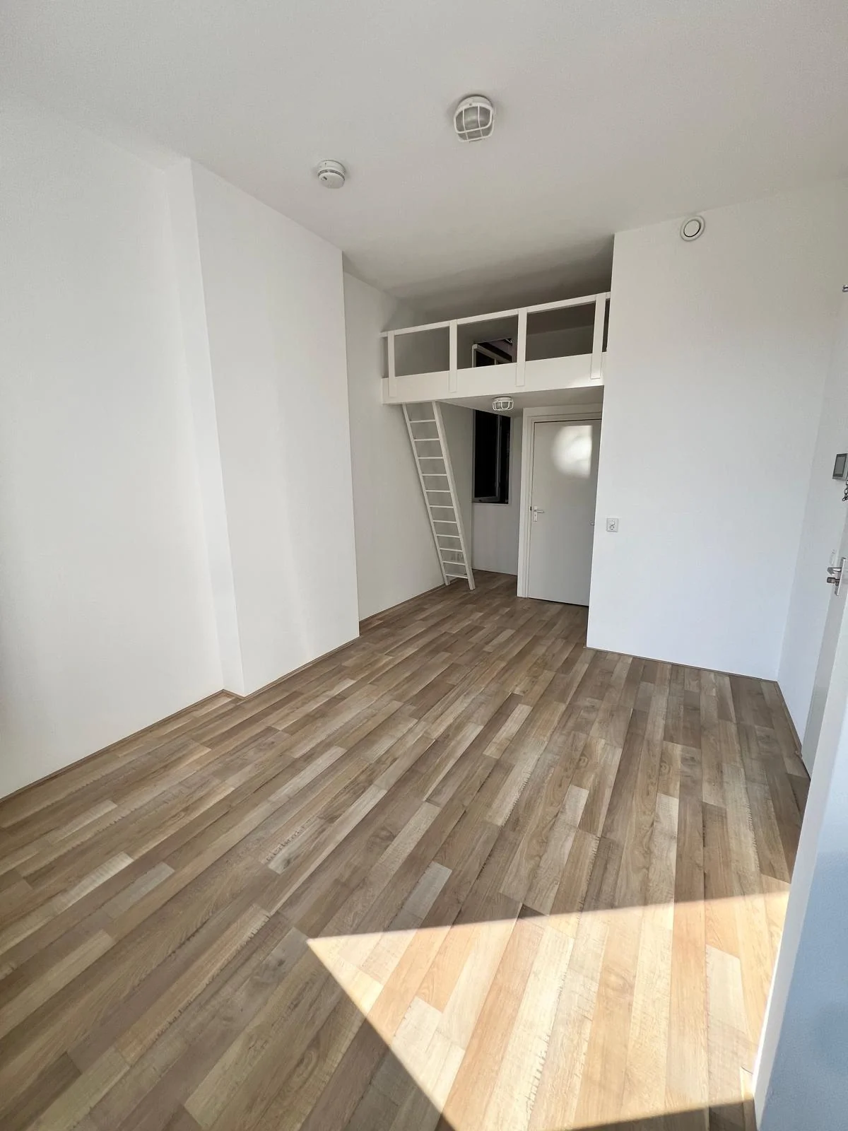 Foto van de Studio gelegen aan de Ganzevoortsingel in Groningen