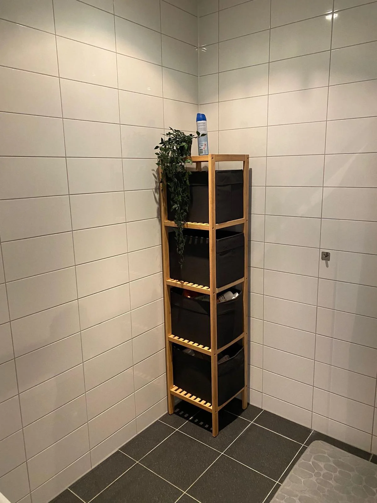 Foto van de Kamer gelegen aan de Venbergsemolen in Eindhoven