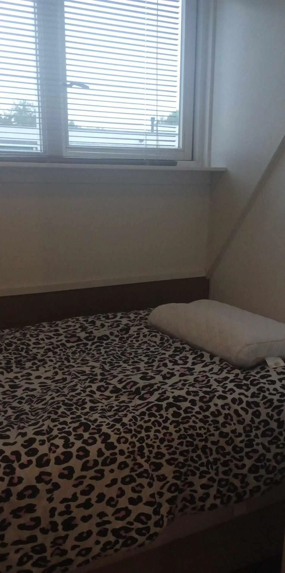 Foto van de Kamer gelegen aan de Valkenswaardstraat in Tilburg