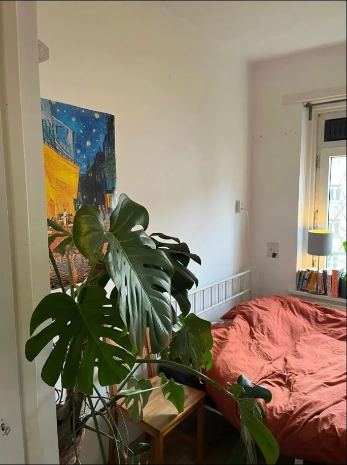 Foto van de Kamer gelegen aan de Erik de Roodestraat in Amsterdam